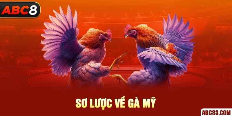 Đặc điểm nổi bật về gà mỹ